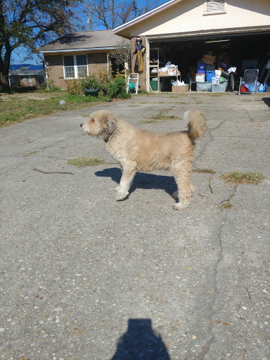 Park «Frank Nelson Park», reviews and photos, 4105 W 23rd St, Panama City, FL 32405, USA