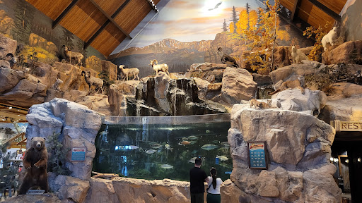 Sporting Goods Store «Bass Pro Shops», reviews and photos, 13012 Bass Pro Dr, Colorado Springs, CO 80921, USA