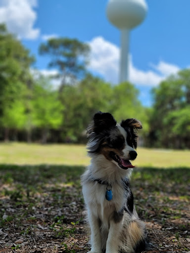 Park «North Water Tower Park», reviews and photos, 4700 Rilma Ave, Sarasota, FL 34234, USA