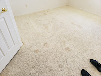Oxi Fresh Carpet Cleaning - Photo 2 - Car repair in , Santa Maria