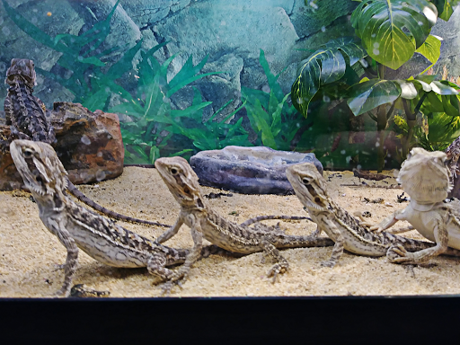 Pet Supply Store «CountryMax - Geneseo», reviews and photos, 4101 Lakeville Rd, Geneseo, NY 14454, USA