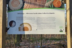 Arboretum Wolfsburg image