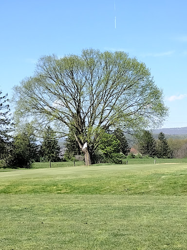 Public Golf Course «Valley View Golf Club», reviews and photos, 4638 US Hwy 220, Moorefield, WV 26836, USA
