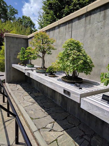 Botanical Garden «Botanical Gardens At Asheville», reviews and photos, 151 W .T. Weaver Blvd, Asheville, NC 28804, USA