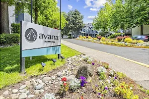 Avana Hamptons image