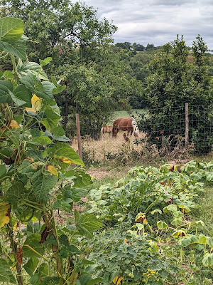 Les Jardins d'Eliza à Cassagnabère-Tournas