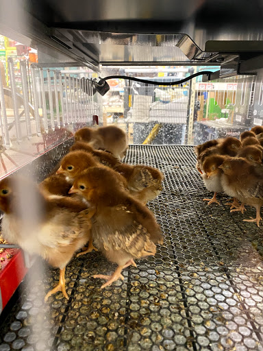 Home Improvement Store «Tractor Supply Co.», reviews and photos, 1360 Strickler Rd, Mount Joy, PA 17552, USA