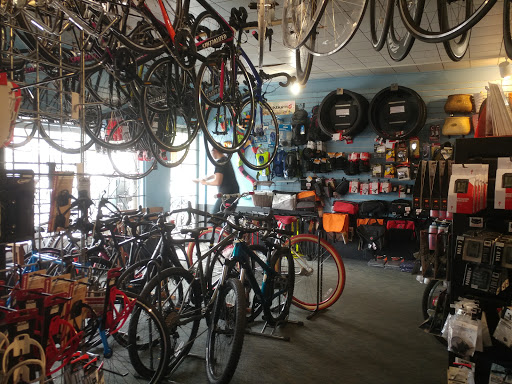 Bicycle Store «Ringling Bicycles», reviews and photos, 3606 Manatee Ave W, Bradenton, FL 34205, USA