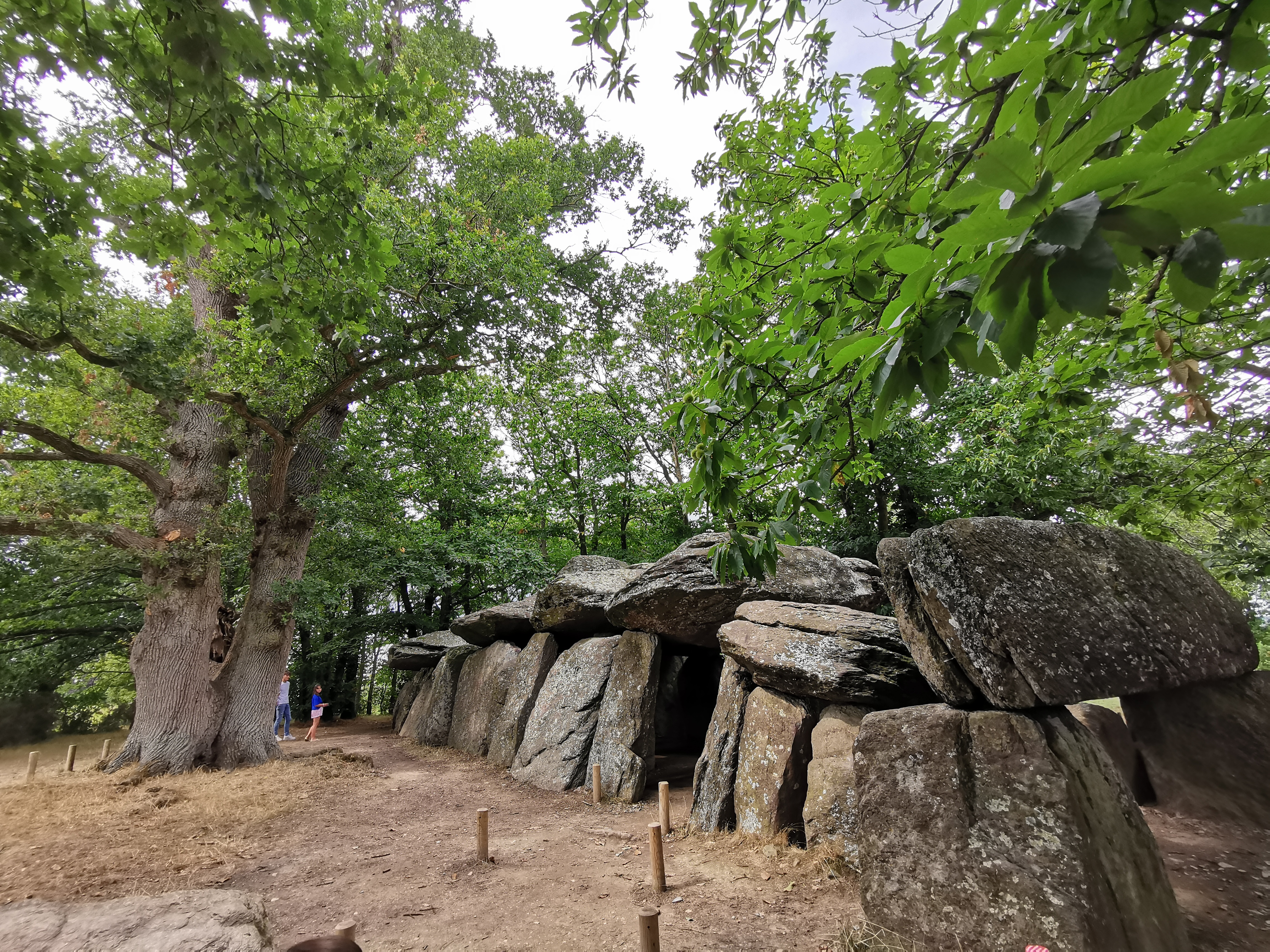 Photo n° 4 de l'avis de Yohann.e fait le 14/08/2020 à 22:09