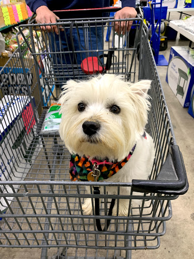 Department Store «Rural King», reviews and photos, 2960 E 10th St, Jeffersonville, IN 47130, USA