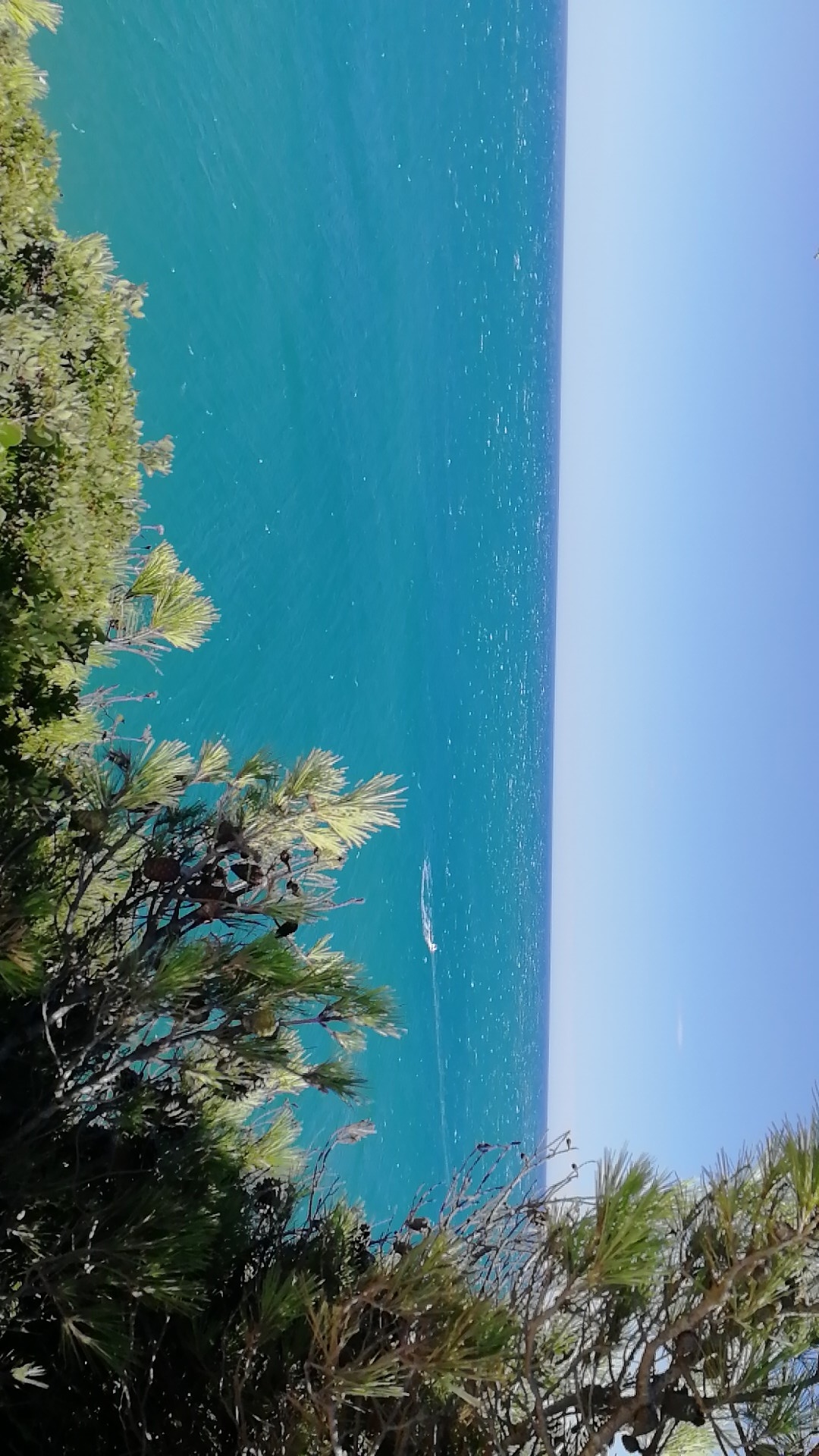 Photo n° 15 de l'avis de david.r fait le 29/08/2020 à 17:50