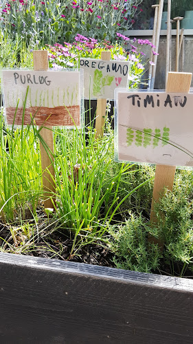 Børnehaven DAMSTRÆDE - Skole