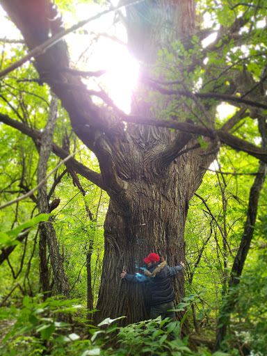 Nature Preserve «Fox Bluff Conservation Area», reviews and photos, Cold Springs Rd, Algonquin, IL 60102, USA
