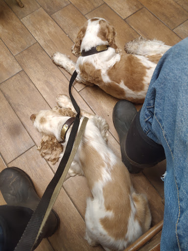 Diamond K Veterinary Services image