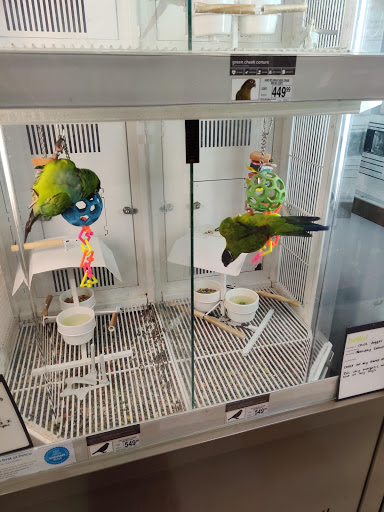 Pet Supply Store «Petco Animal Supplies», reviews and photos, 19869 Rinaldi St, Porter Ranch, CA 91326, USA