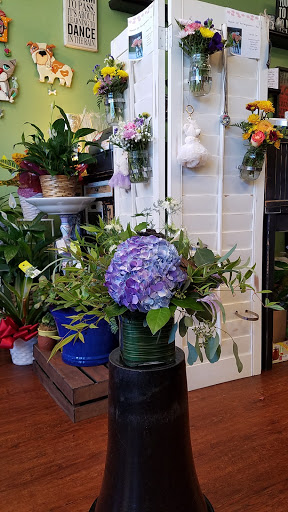 Florist «Enchanted Florist & Gifts», reviews and photos, 9140 Alcosta Blvd B, San Ramon, CA 94583, USA