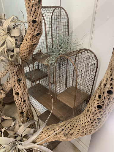 Gift Shop «Desert Creations Nursery and Gift Shop», reviews and photos, 18161 Parthenia St, Los Angeles, CA 91325, USA