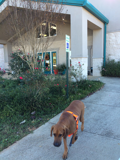 Auburn Veterinary Hospital image