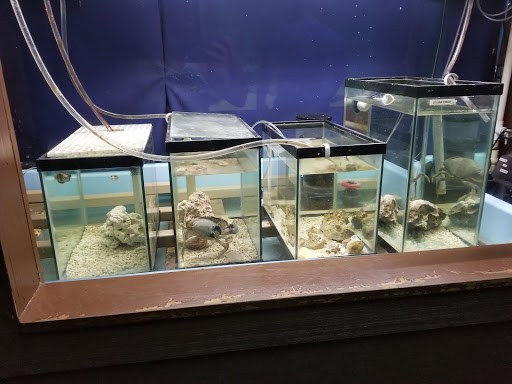 Zoo «Gladys Porter Zoo», reviews and photos, 500 E Ringgold St, Brownsville, TX 78520, USA