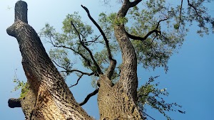 Otter Creek Preserve - photo 44