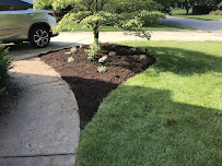 Indy Lawns & Landscaping