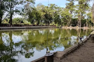 Estância Pesqueiro Casagrande -Pesca Esportiva - Pesque Pague image