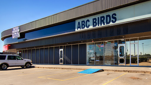ABC BIRDS