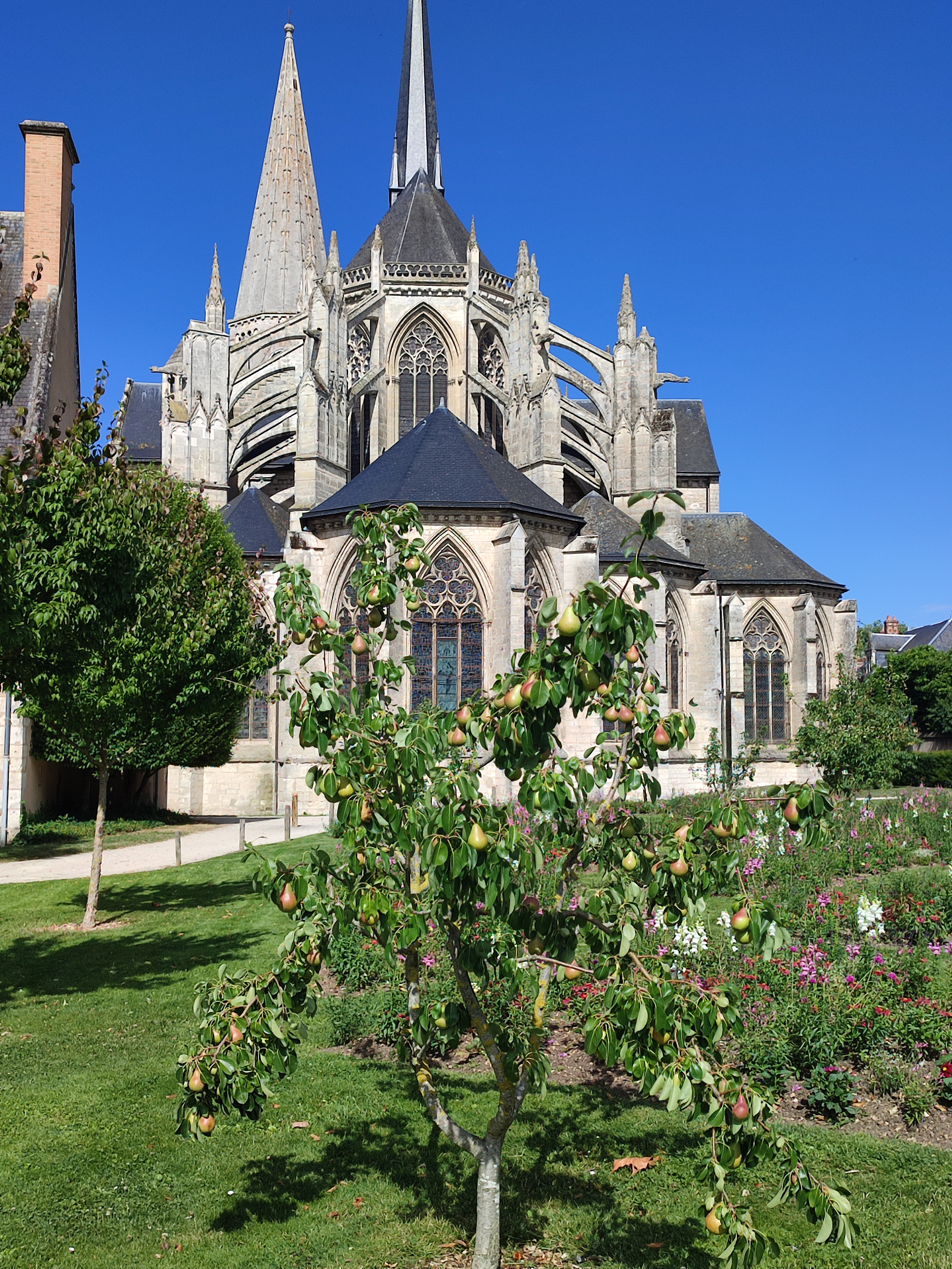 Photo n° 1 de l'avis de ouzé.e fait le 18/07/2023 à 14:02