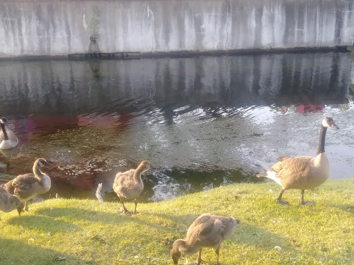 Theme Park «The Great Escape & Splashwater Kingdom», reviews and photos, 89 Six Flags Dr, Queensbury, NY 12804, USA