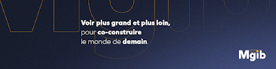 Mgib - Agence Grand-Est à Épinal