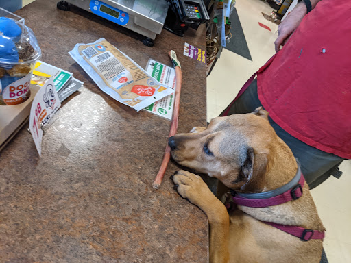 Pet Store «PetSaver Healthy Pet Superstore (Brighton Location)», reviews and photos, 2947 Monroe Ave, Rochester, NY 14618, USA