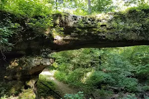 Pomona Natural Bridge image