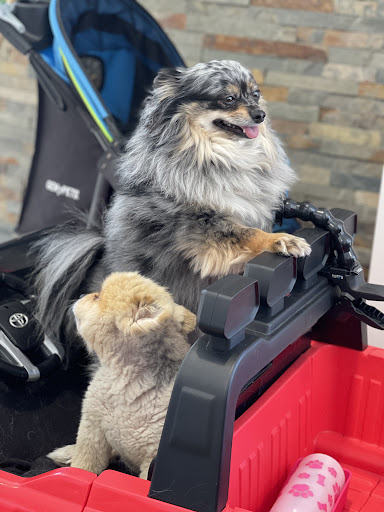 Car Dealer «Vanderstyne Toyota», reviews and photos, 4374 W Ridge Rd, Rochester, NY 14626, USA