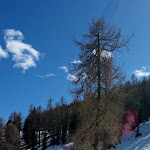 Photo n°3 de l'avis de Sabine.a fait le 10/04/2022 à 17:13 sur le  Bergrestaurant Breiteben/Apreski Bockstadl à Ultimo