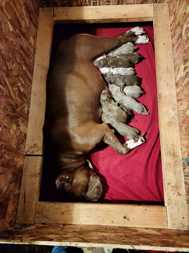 Food Bank «Marysville Community Food Bank», reviews and photos