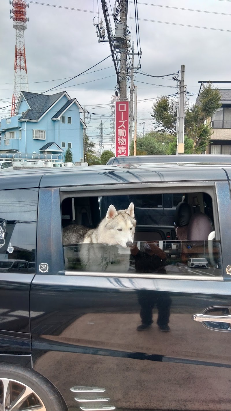 ローズ動物病院