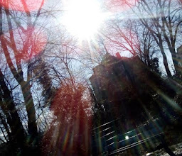 Hohenstein - Bodendenkmal photo