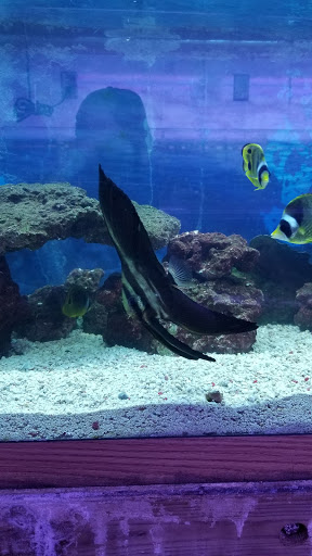 Tropical Fish Store «Aquarium World», reviews and photos, 116 S Earl Ave, Lafayette, IN 47904, USA