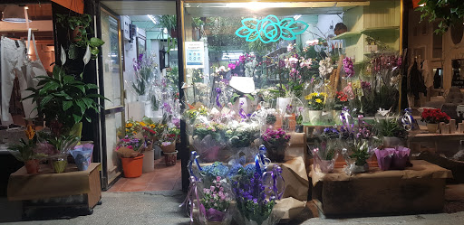 עדן צמחים - חנות פרחים