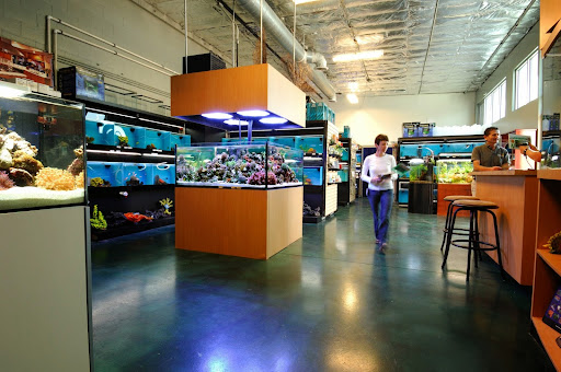 Pet Supply Store «AGE OF AQUARIUMS», reviews and photos, 2642 Cherry Ave, Signal Hill, CA 90755, USA