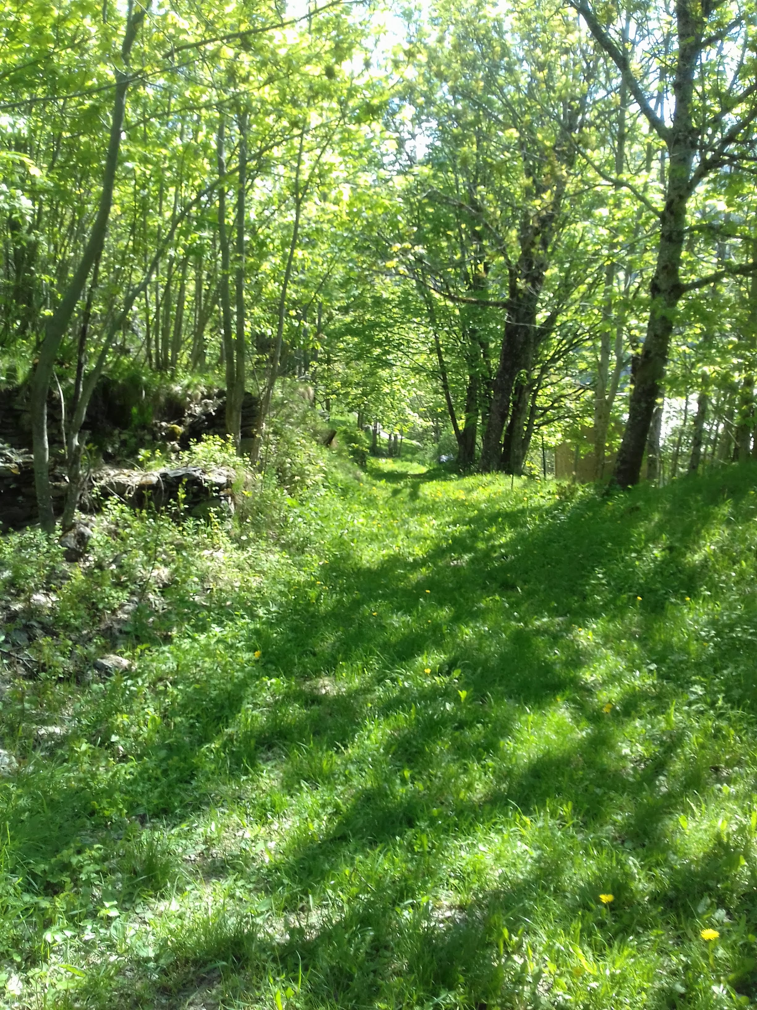 Photo n° 2 de l'avis de Sandra.4 fait le 18/05/2018 à 19:22