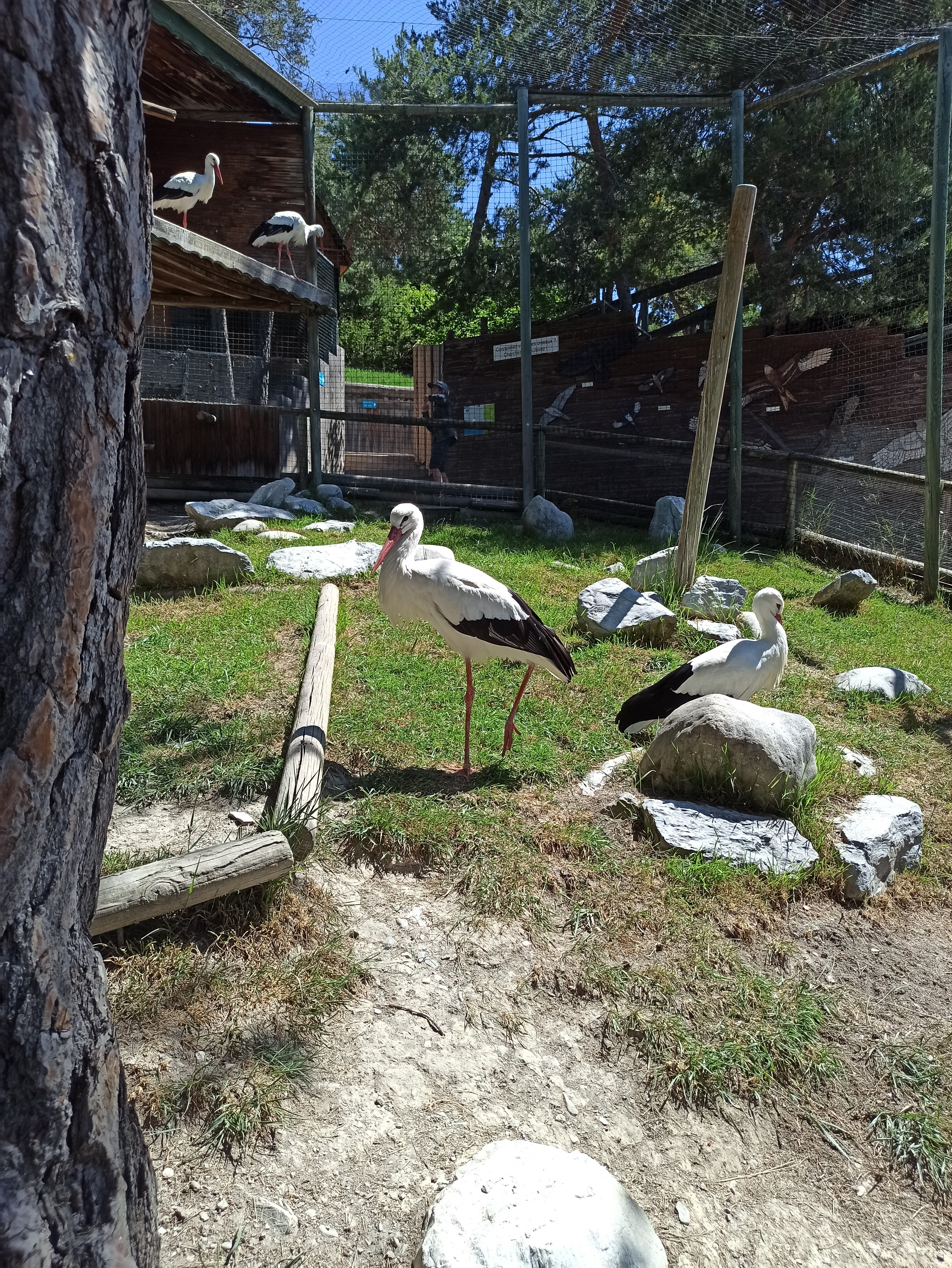 Photo n° 3 de l'avis de Romain.r fait le 29/05/2022 à 17:59