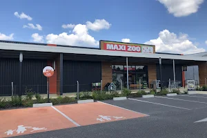 Maxi Zoo Bias image