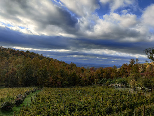 Winery «Twin Oaks Tavern Winery», reviews and photos, 18035 Raven Rocks Rd, Bluemont, VA 20135, USA