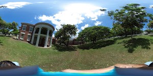 Honolulu Mayors Office of Culture and the Arts - photo 17