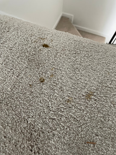 Appliance Store «Jersey Coast Appliance», reviews and photos, 18 NJ-37, Toms River, NJ 08753, USA