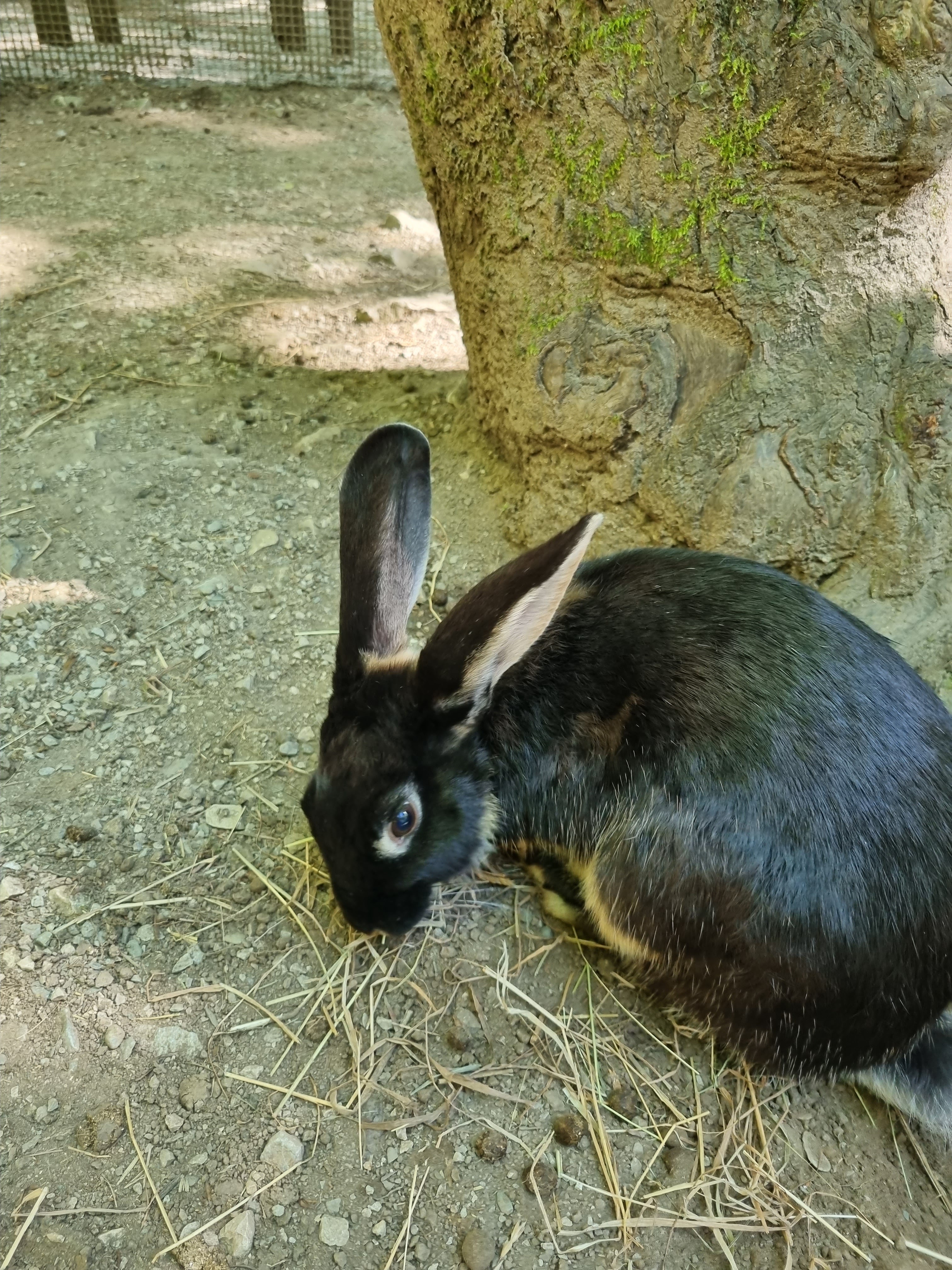 Photo n° 3 de l'avis de p.d fait le 14/07/2023 à 17:06