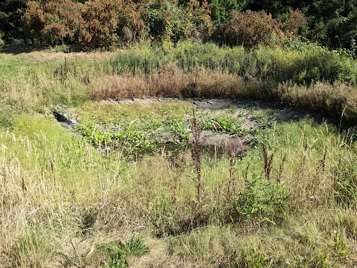 Park «Waterworks Gardens», reviews and photos, Oakesdale Ave SW, Renton, WA 98057, USA