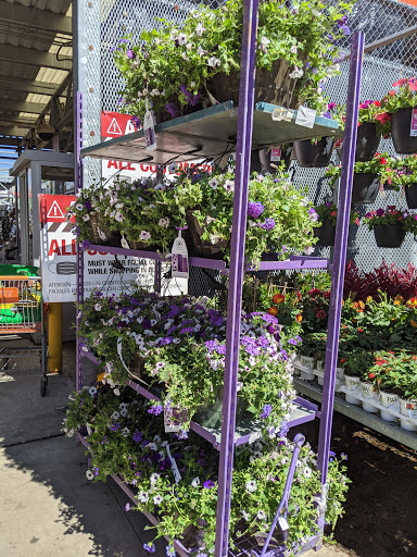 Home Improvement Store «The Home Depot», reviews and photos, 782 PA-113, Souderton, PA 18964, USA