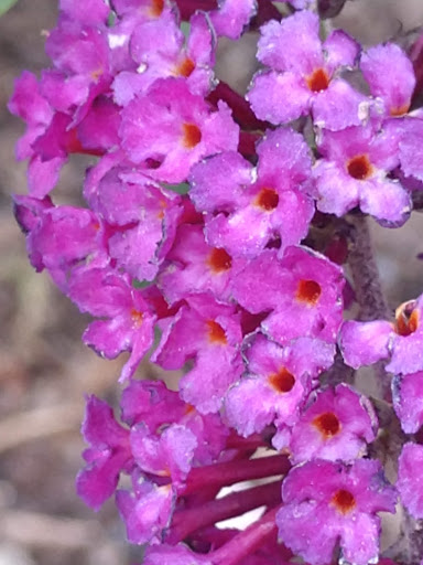 Park «Draper Historical Park», reviews and photos, 12625 900 E, Draper, UT 84020, USA